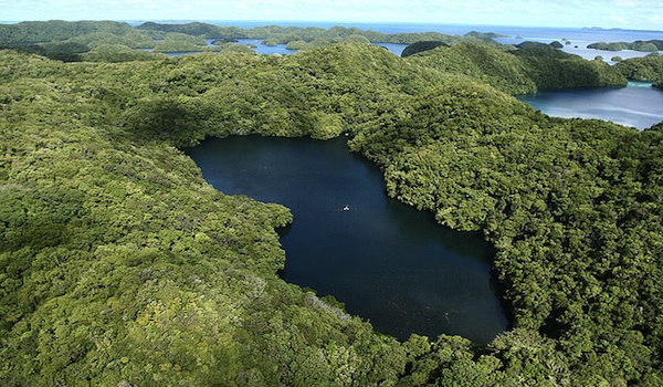 Palau_jellyfish_lake_aerial