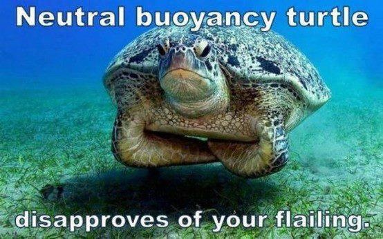 Peak_pereformance_bouancy