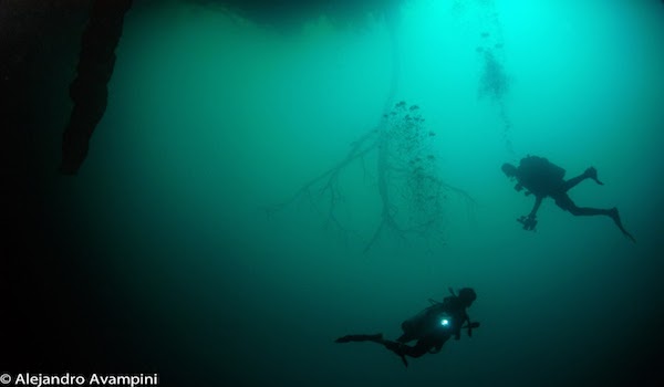 Cenote_angelita