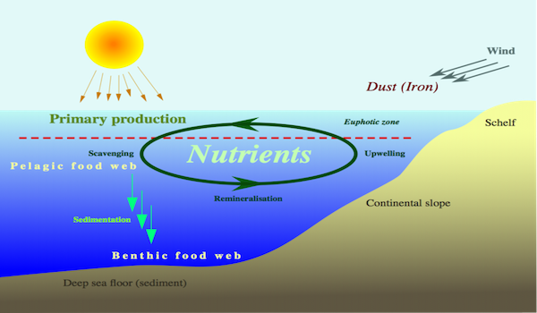 Nutrient-cycle