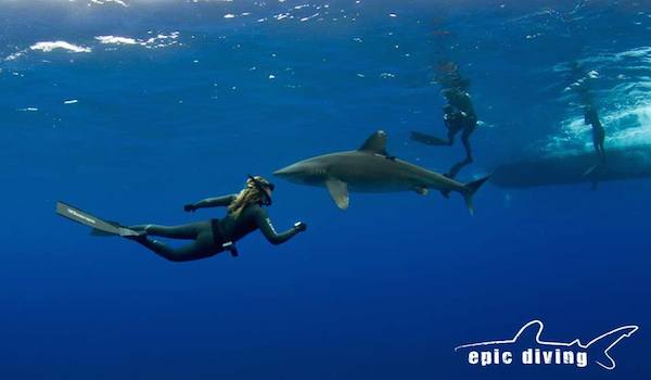 download your scuba dive checklist