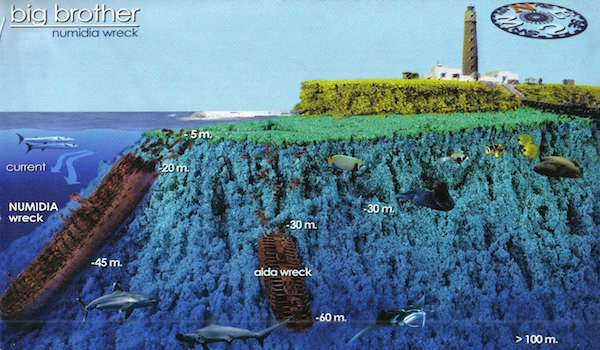 Big-brother-island-aida-numidia