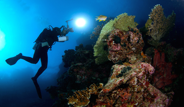 Scuba_diving_menjangan_island__bali