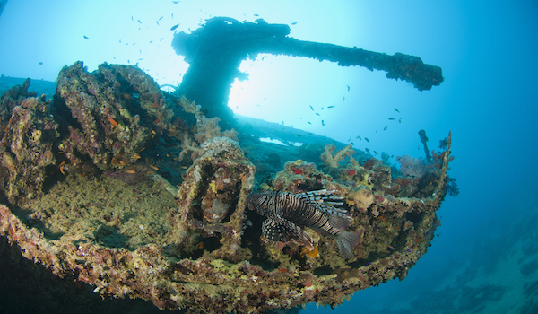 Ship_wreck_photography_red_sea_copy