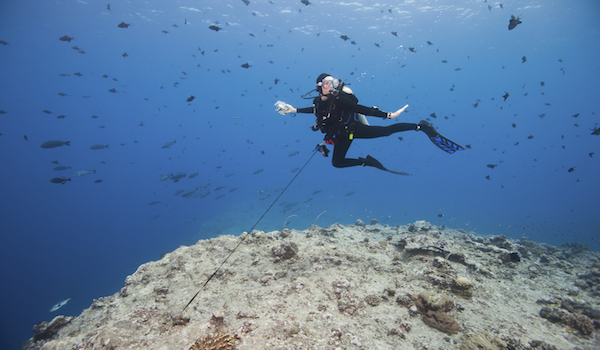Reef_hook_scuba_diving