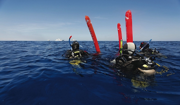 Divers_with_surface_marker_buoy