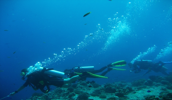 Reefhook_dive_in_strong_current