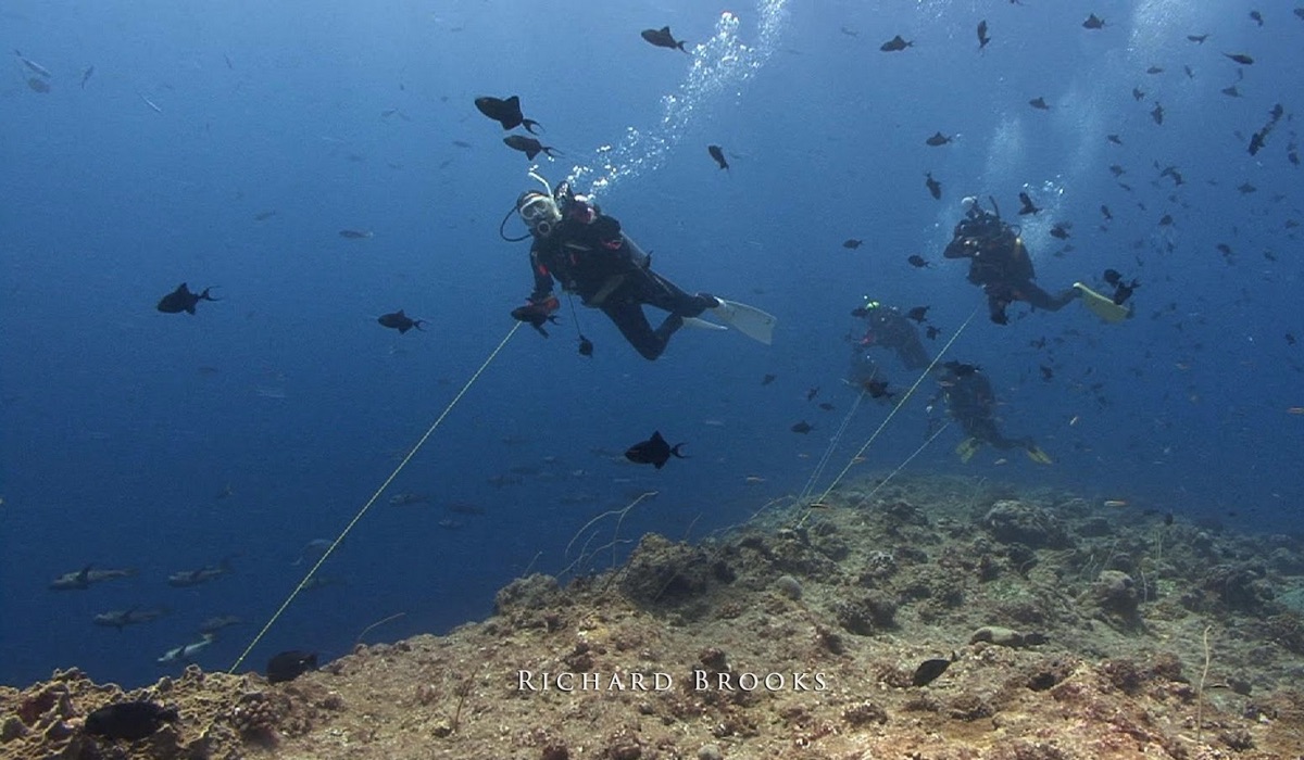 download your scuba dive checklist