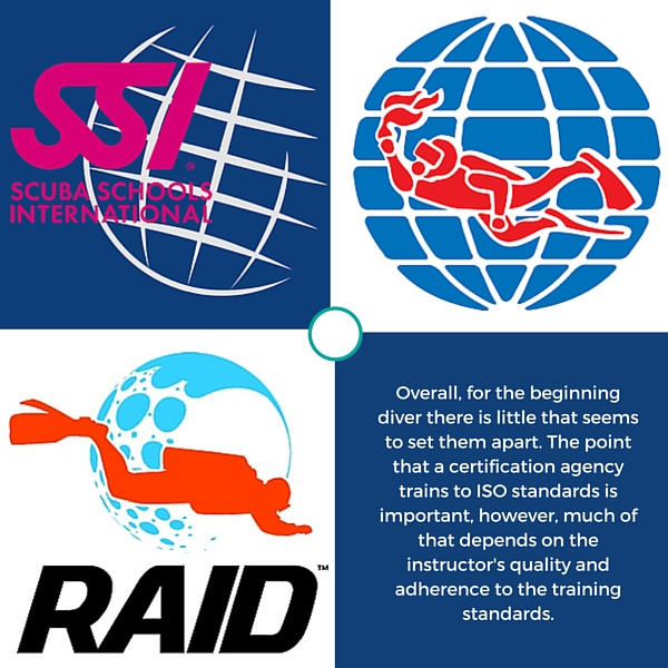 alternative_padi