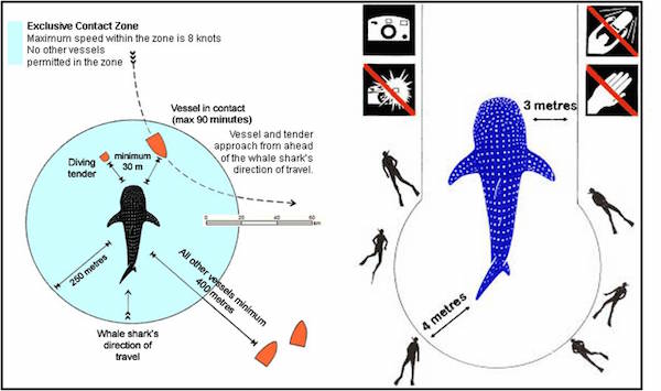Whale_shark_code_of_conduct