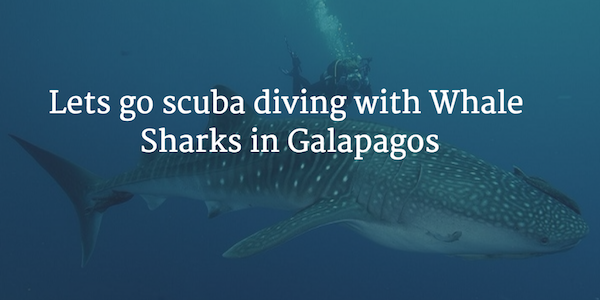 download your travel guide to Galapagos