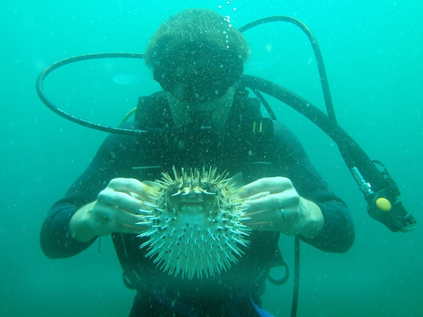download your scuba dive checklist