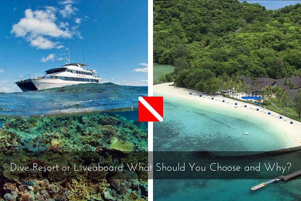 Dive_resort_or_liveaboard-