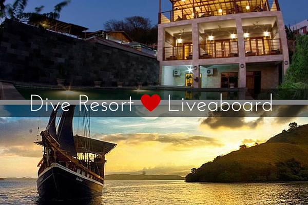Dive_resort_vs_liveaboard
