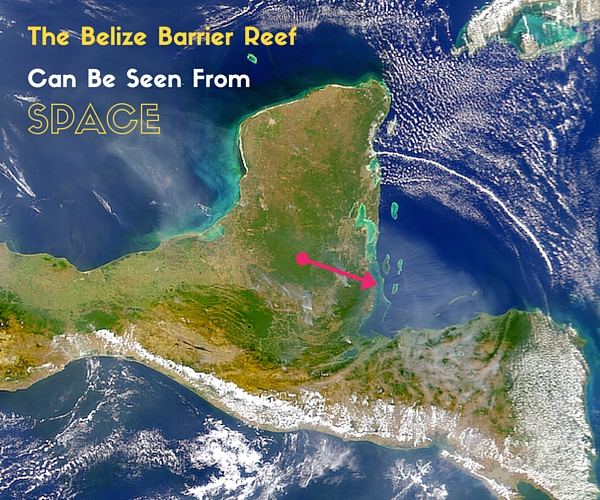 Belize_barrier_reef