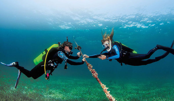 divers making a safety-stop