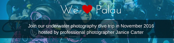Palau_in_content_banner