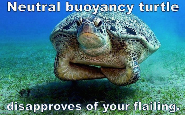 download your scuba dive checklist