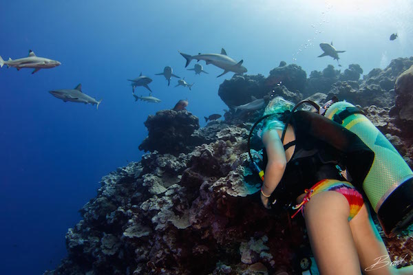 Diving_in_yap