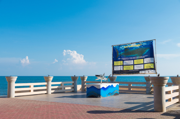 Donsol_whale_shark_center