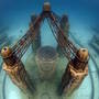 Thumb_neptune_memorial_reef_florida