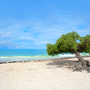 Thumb_header