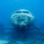 Thumb_wreck_diving_aruba
