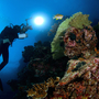 Thumb_scuba_diving_menjangan_island__bali