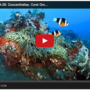 Thumb_marine_bio_101