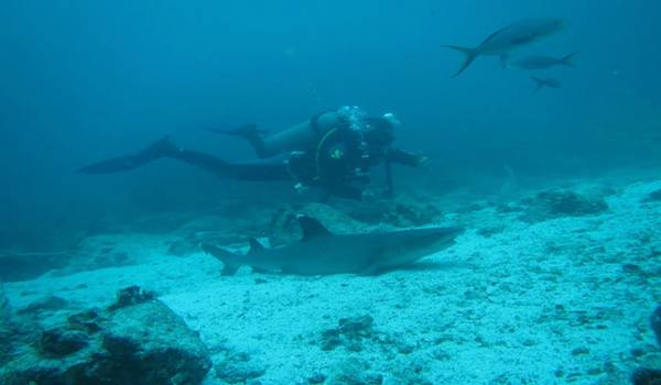 Scuba_diving_the_galapagos_islands