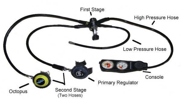 Here is How You Should Take Care of Your Scuba Dive Equipment diving equipment diagram labeled 